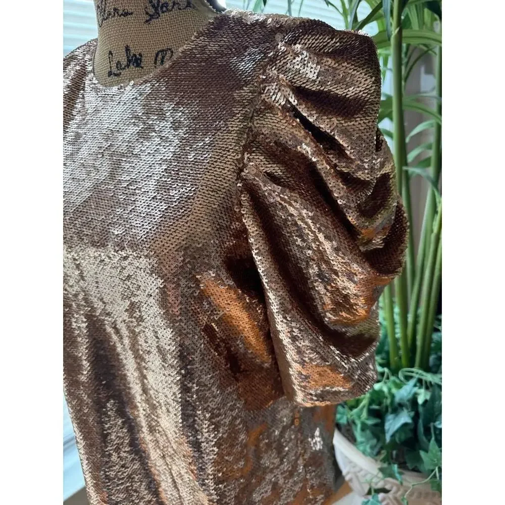 Ulla Johnson Raw Sequin blouse top 6 (BL100